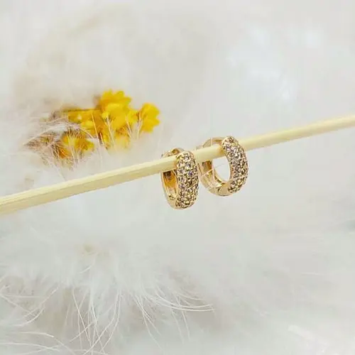 Brinco Argola Pavê Mini Brilho Banhado a Ouro 18K