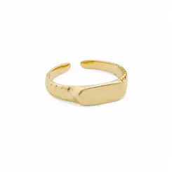 ANEL AJUSTÁVEL PLACA LISA BANHADO A OURO 18K