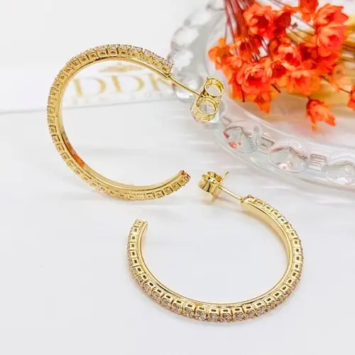 Brinco Argola Elegance Cravejada Banhado a Ouro 18K