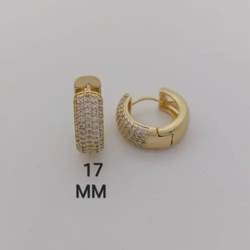 Brinco Argola Cravejado Domínio Banhado a Ouro 18K