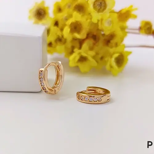 Brinco Argola Ponto de Luz Clássica Banhado a Ouro 18K