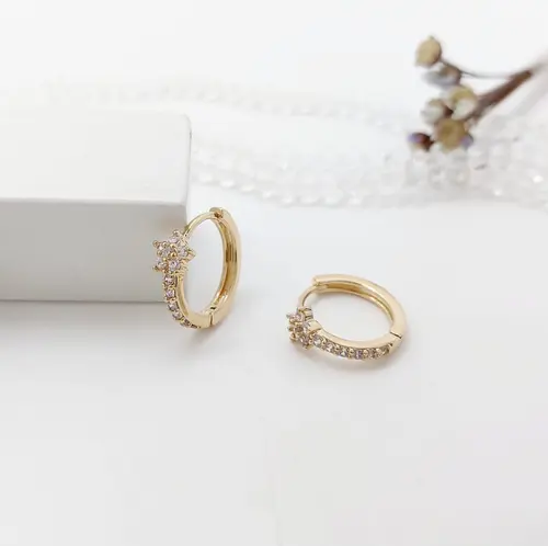 ARGOLA JARDIM CRAVEJADA BANHADA A OURO 18K