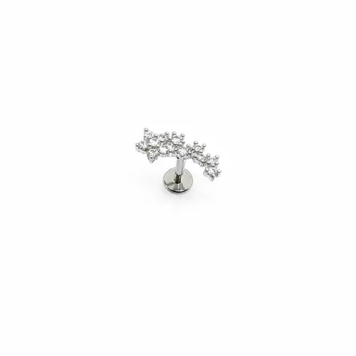 PIERCING FLOR C. BANHADO A A.I
