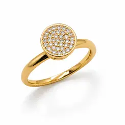 ANEL CHUVEIRO BANHADO A OURO 18K